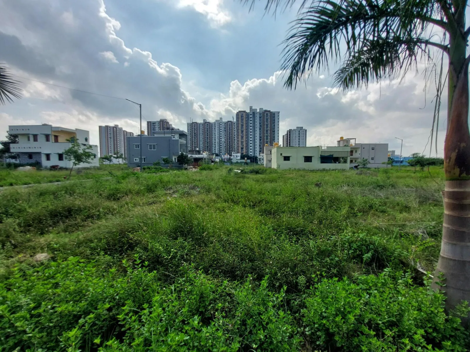 Green Acres V — photo 3