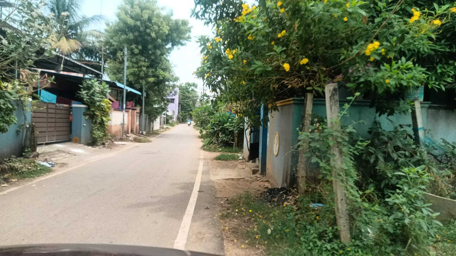 Induvidual — photo 2