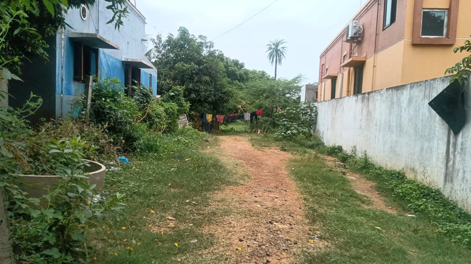 Induvidual — photo 3