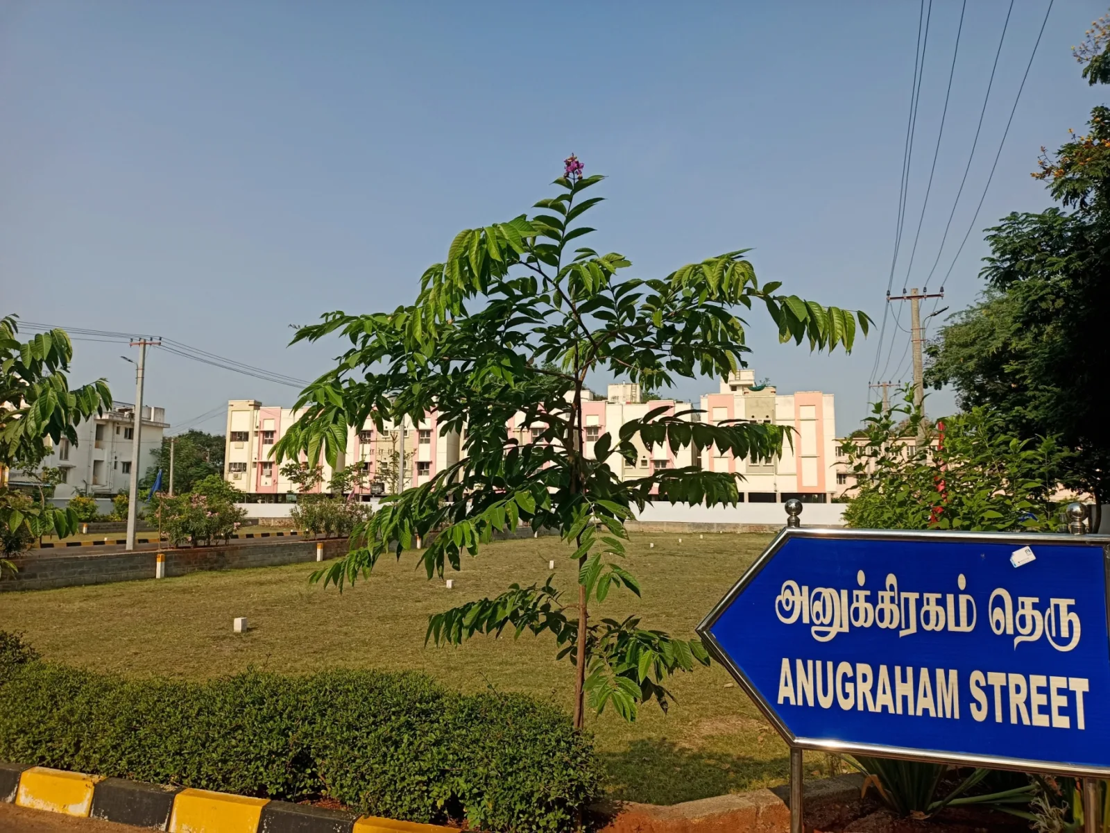 Mahalakshmi Nagar 14 — photo 5