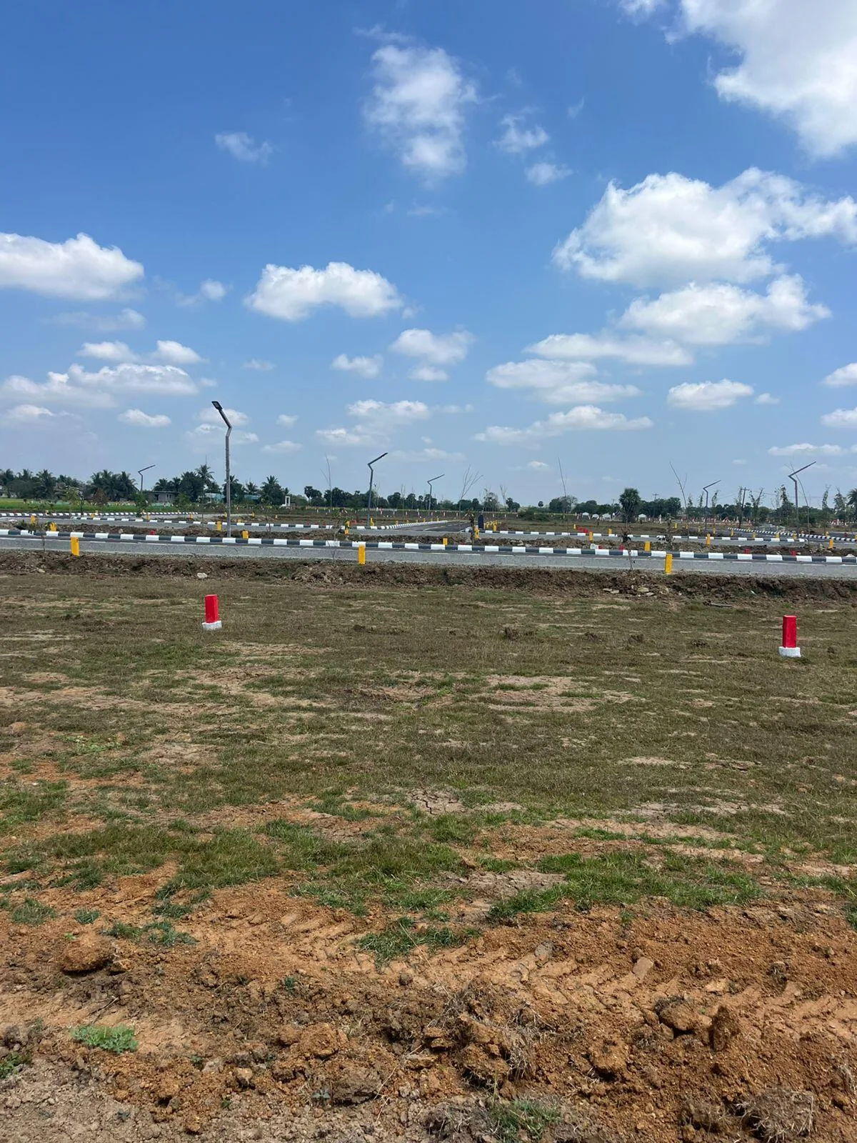 Sameera Terra Farms — photo 4